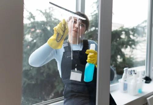 Nettoyage de vitres intérieures et extérieures à Brousse